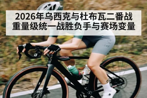2026年乌西克与杜布瓦二番战重量级统一战胜负手与赛场变量
